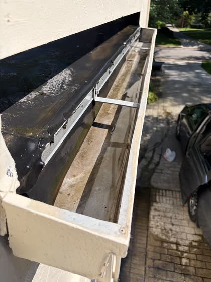 The same gutter from the same spot, scooped out and rinsed.