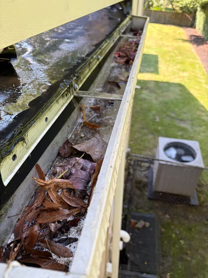 A box gutter packed with wet brown leaves, standing water underneath.