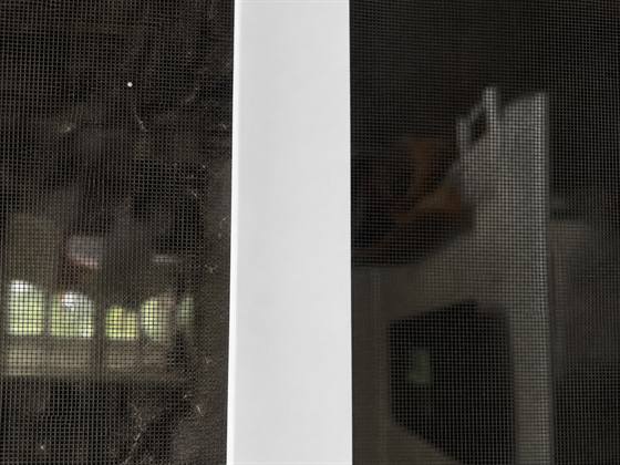 A window screen halfway through cleaning: left of the frame the mesh is furred with dust and cobwebs, right of it the mesh is clear enough to see the room behind.