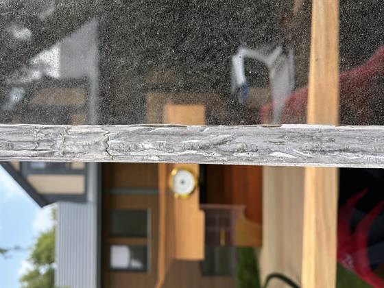 A window caught halfway through cleaning: above the glazing bar the glass is grey with grime, below it the glass is clear enough to show the sky and the trees behind.