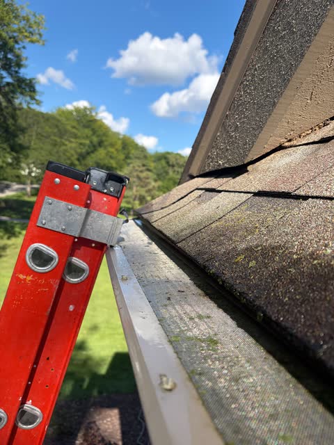 The top of a ladder against a roof edge, looking along a gutter guard under a blue sky.